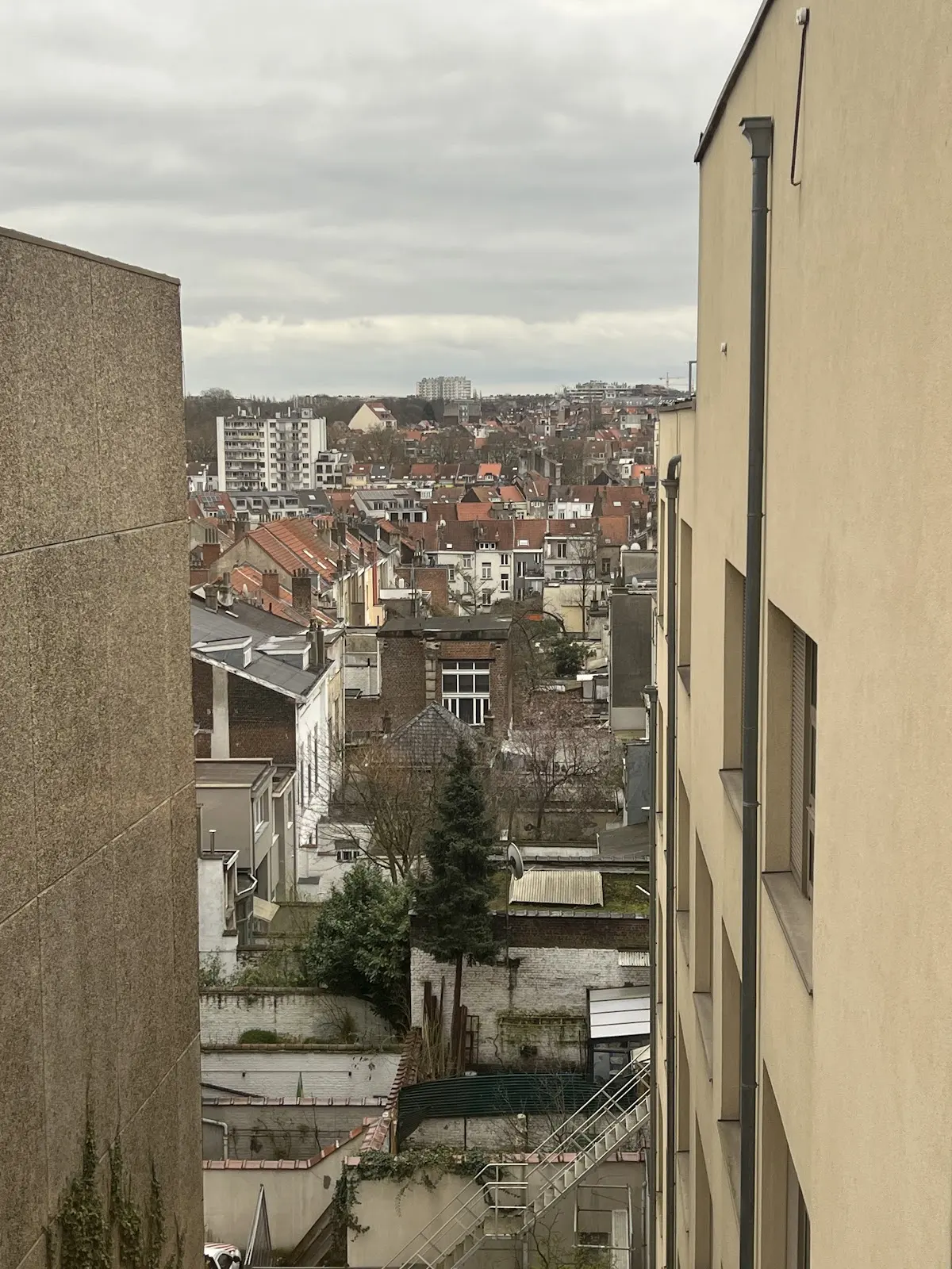Agence Schaerbeekoise Immobiliere Sociale, Schaerbeek