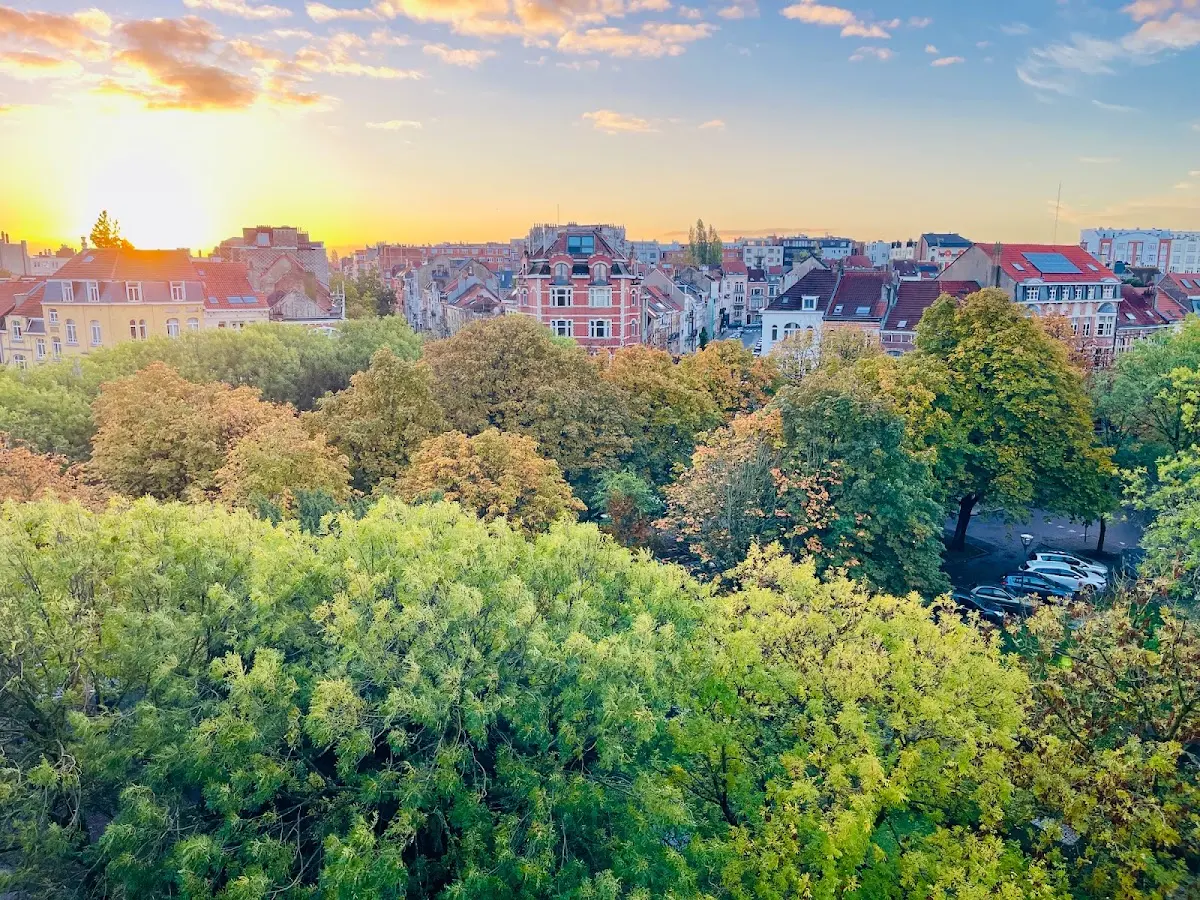 IZIKOZI, Schaerbeek