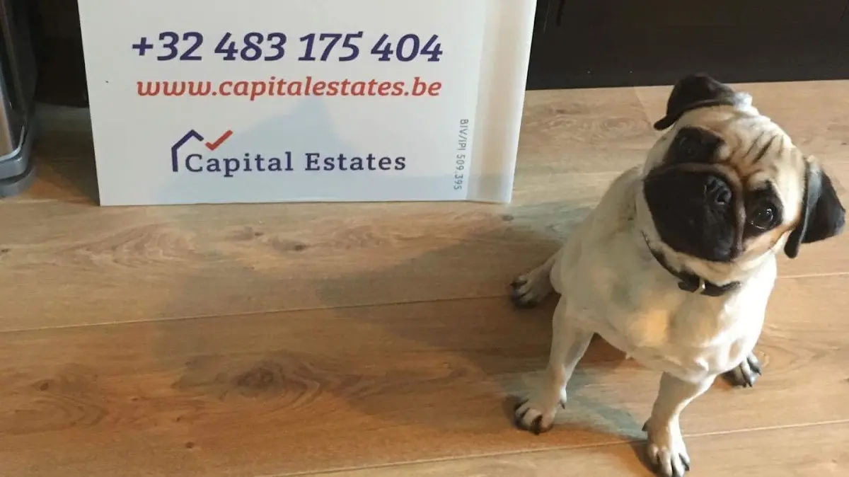 Capital Estates, Laeken