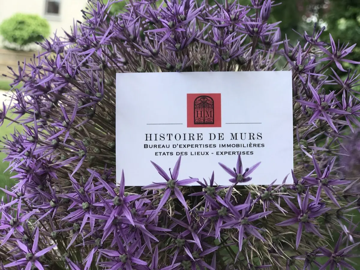 Bureau Histoire de Murs (Etats des lieux, Expertises), Saint-Gilles